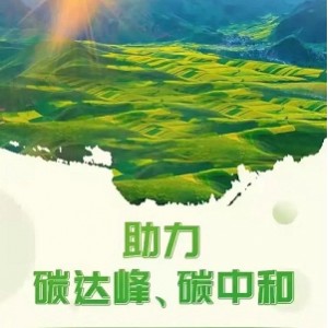 突破系统安装极限！「Photoshop 2022 绿色版」免安装更轻松！