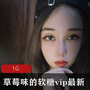 草莓味软糖网红少女VIP资源合集，1G视频尽收眼底